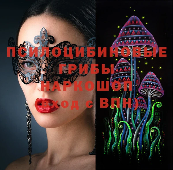 стаф Абинск
