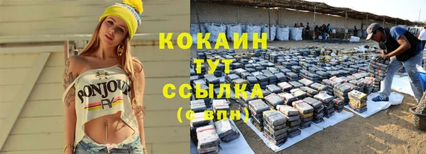 стаф Абинск