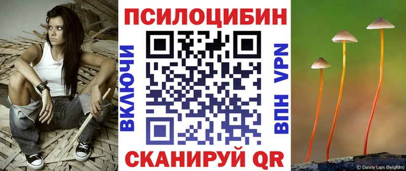 Псилоцибиновые грибы Psilocybine cubensis Райчихинск